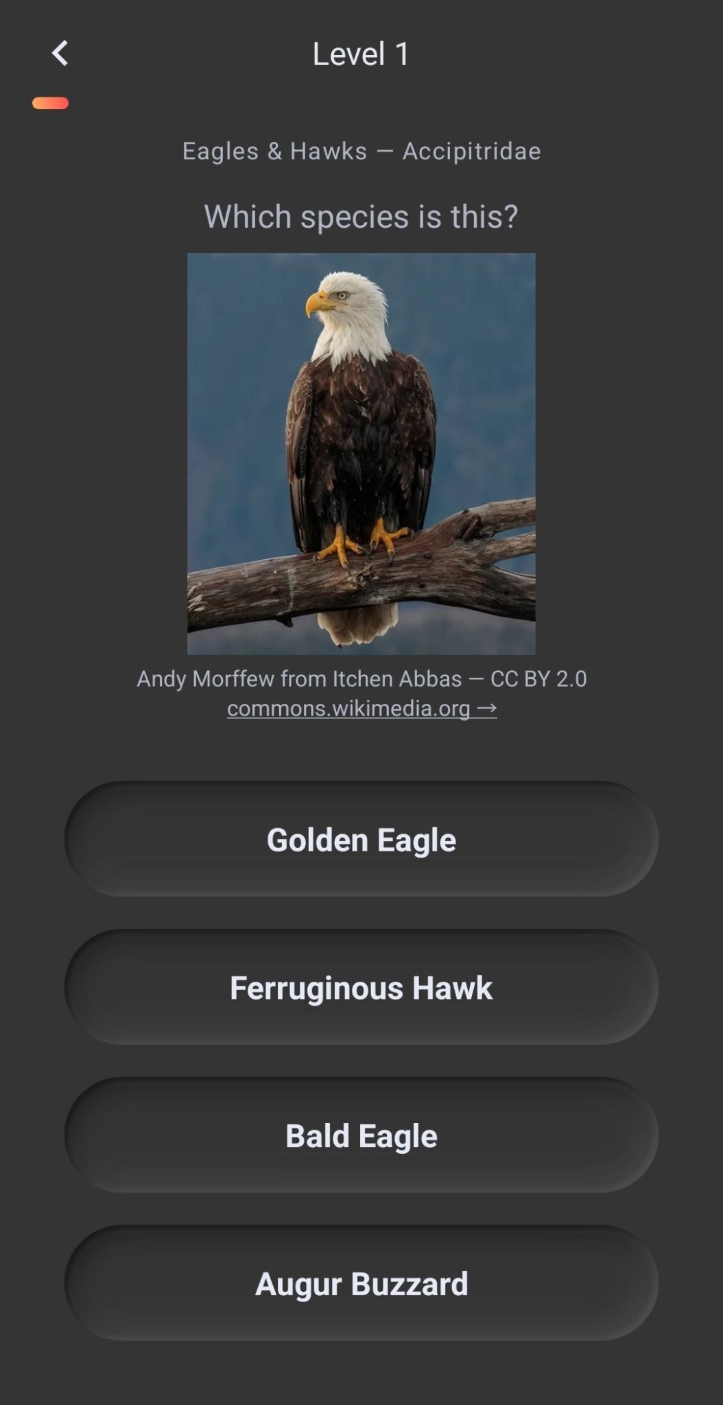 Identifying an animal species