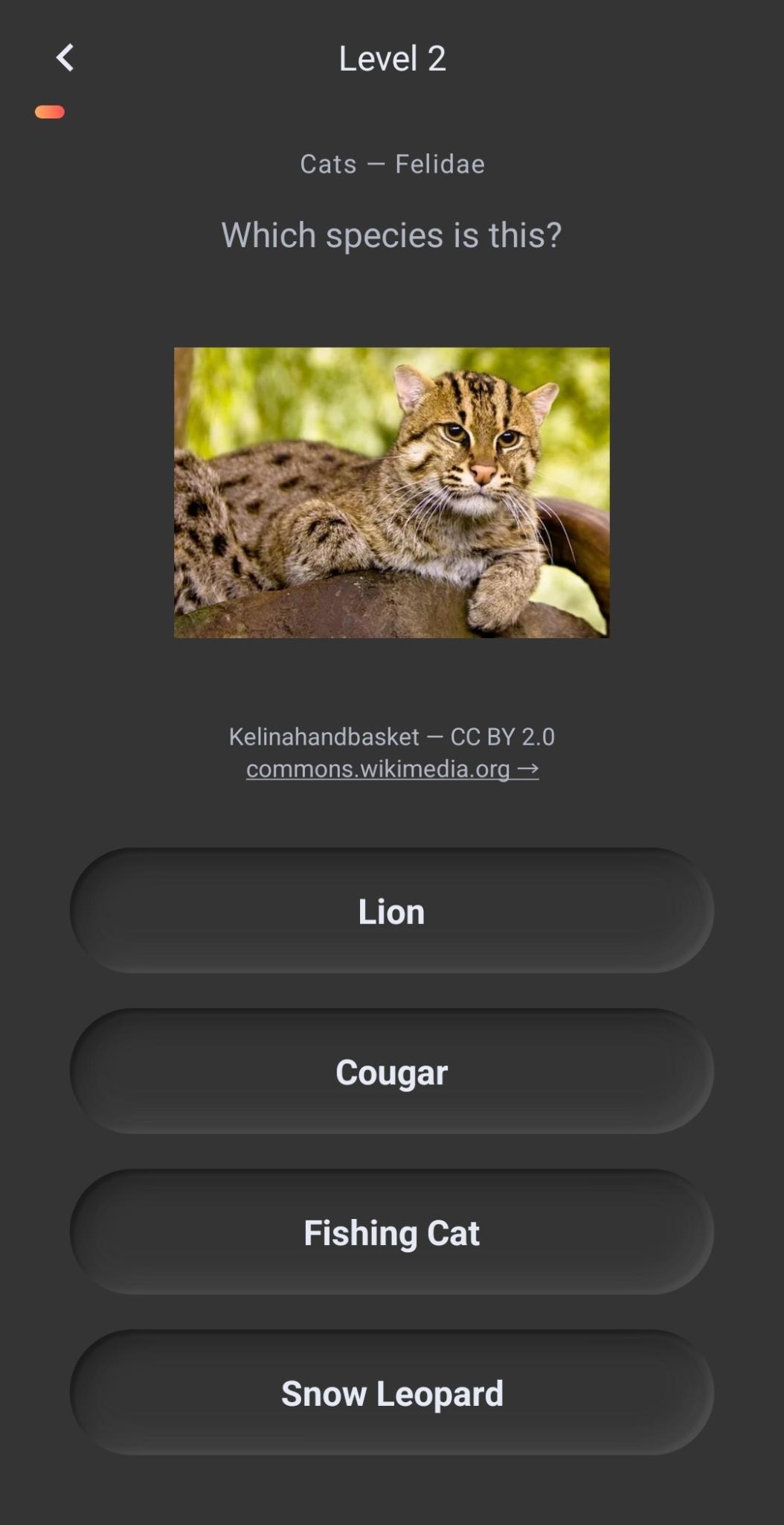 Practising animal species